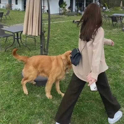 爱情无全顺